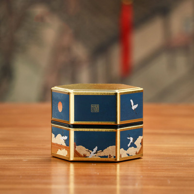 Urne za pepeo Mala kremacija Mini željezna urna za uspomenu Pogrebni kovčeg Pet Memoria Urne Keepsake Humans Pet Memorial Urna za pepeo