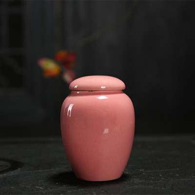 Pepeo mačka pas suvenir kutija za pohranu pepela kućnog ljubimca suvenir kućni ljubimac urna posuda za kremiranje Keramika za dugo vremena