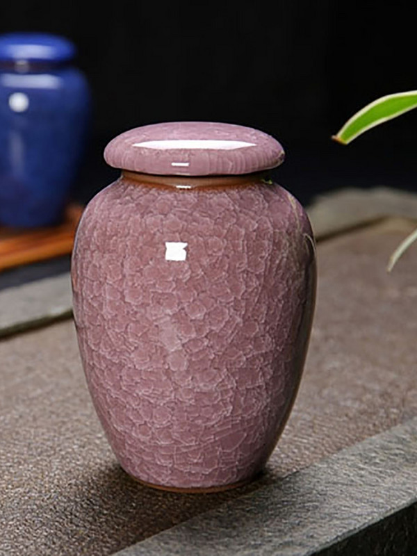 Urna za male kućne ljubimce Ptice Pas Urne za kućne ljubimce Kremiranje Lijesovi za kućne ljubimce Pogrebna vaza Kremiranje mačaka Pepeo za ljudski pepeo Ručno oslikana keramika