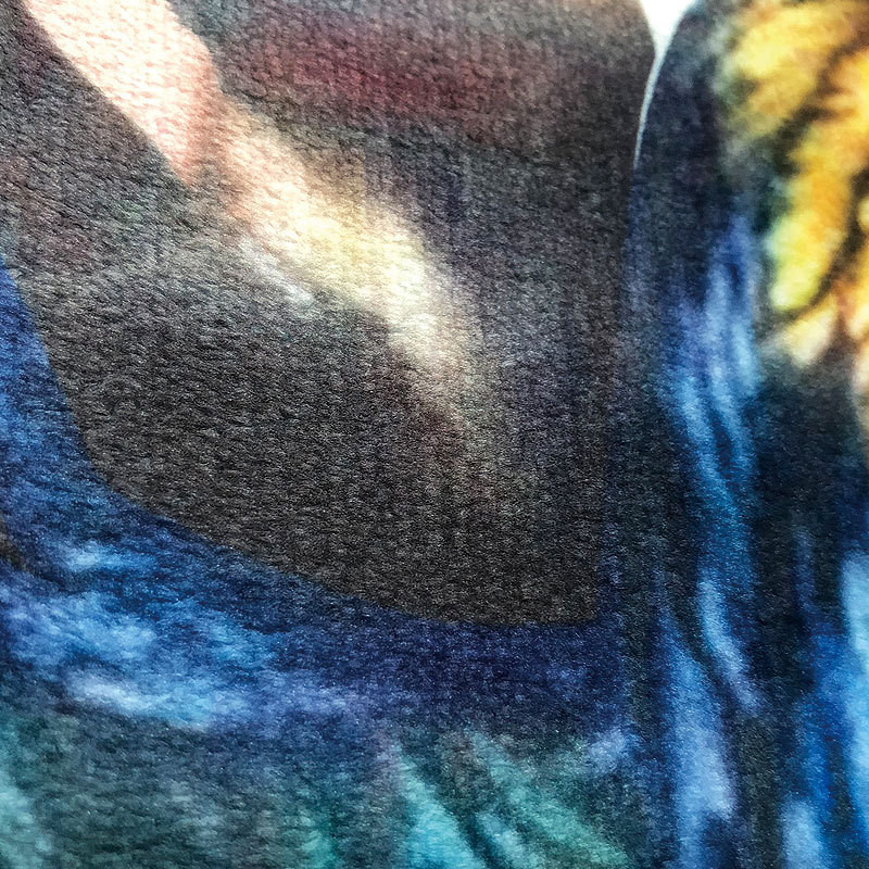 Zeegle Peacock Printed Vannas istabas Paklājiņš Neslīdošs Paklājs Vannas istaba 3Gb Paklājiņš Tualetes Vannai Paklājs Pretslīdošs grīdas paklājs