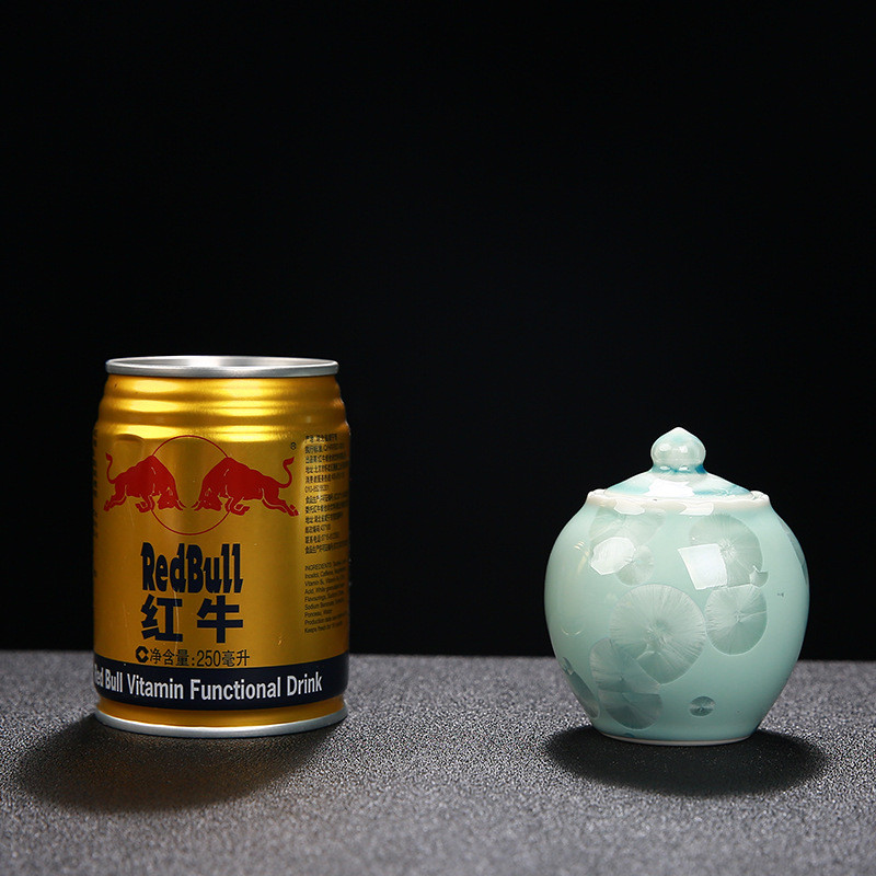 Jauna suņu urna kristāla glazūra, keramika, maza aizzīmogota mājdzīvnieka piemiņas kremācijas urna 100 ml mājdzīvnieku piederumi Urne Bapteme Szkatułka