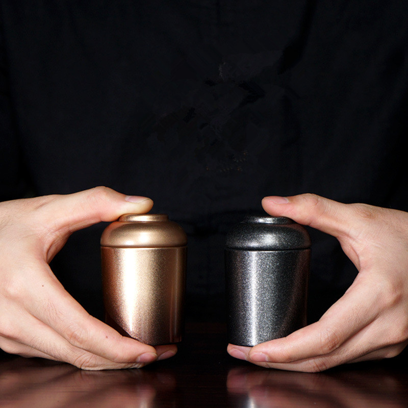 Spomenik kućnim ljubimcima Željezna urna za pse, mačke, ptice, pepeo za kremiranje, držač za pepeo koji se može otvoriti, male životinje, miševi, zečevi, ribe, pogrebni lijes