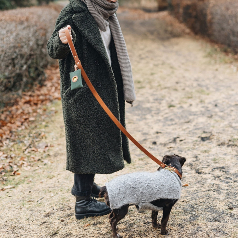 Dog Stuff Pārnēsājams mājdzīvnieks suns izkārnījumu maisiņu dozators, kaste tīrīšana atkritumu atkritumu kaste kucēnu savācēja maisi turētāja maisiņš āra piederumi