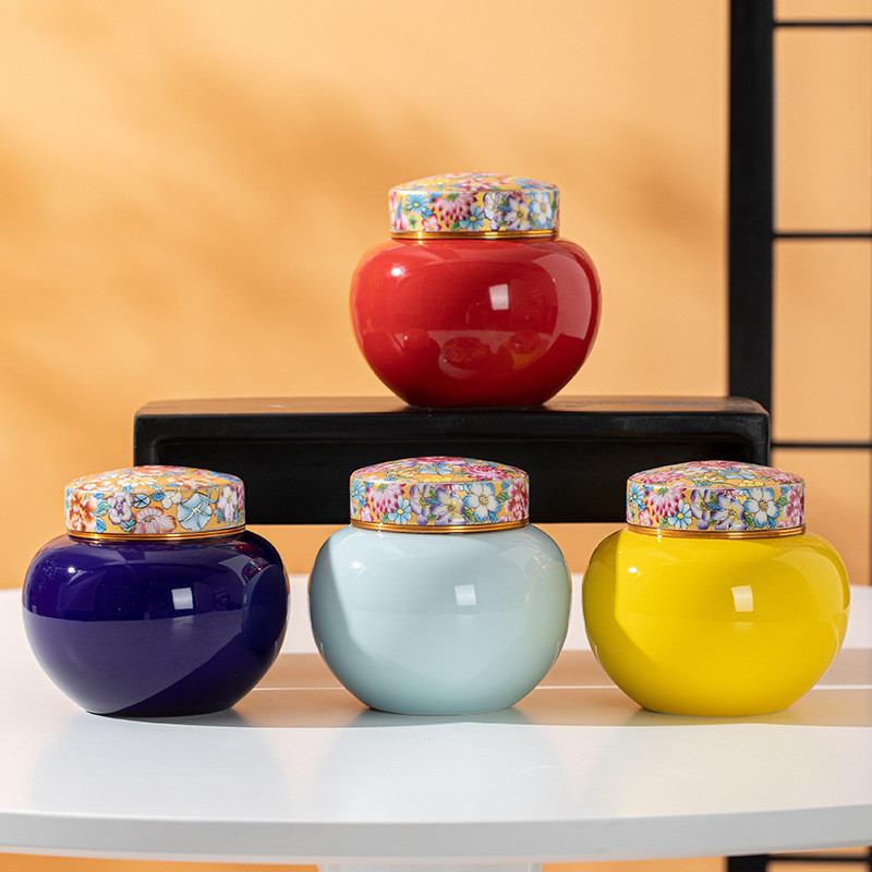 Emajl Keramika Staklenka za kremiranje kućnih ljubimaca Poklopac od legure Zatvorena tegla Pas Mačka Pogrebni spomenik Pogrebni pribor 500 ml Kapacitet Dva stila