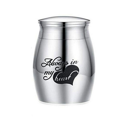 Lijes s urnom za kućne ljubimce 40*29 mm od nehrđajućeg inoksa Pepeo za kućne ljubimce Spomenici Pseća urna Pogrebna kremacija Mačka Ptica Spremnik za mini životinje Dlaka Uspomena za kućnog ljubimca