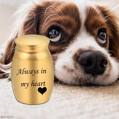 Βάζο 30*40mm Pet Ashes Always In My Mind Forever In My Heart Μεταλλικό κουτί αποθήκευσης για την αγάπη Μίνι βάζο αναμνηστικών σκυλιών με καπάκι Κηδεία