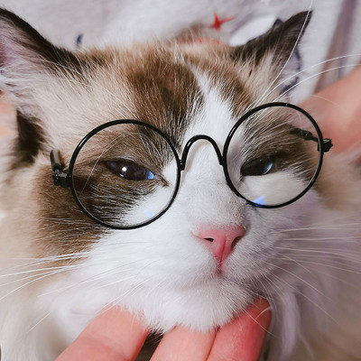 Vintage Round Cat Sunglasses Reflection Eyewear Glasses Pet Products for Dog Kitten Dog Cat Accessories for Small Dogs