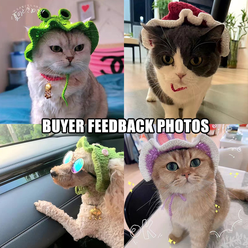 2022 m. žieminė kačių kepurė Elastinė miela rafinuota naminių gyvūnėlių kepurė šuniukas Kačiukai Megzta kepurė Vakarėlis Fotosesijos rekvizitai Dekoratyviniai kačių priedai