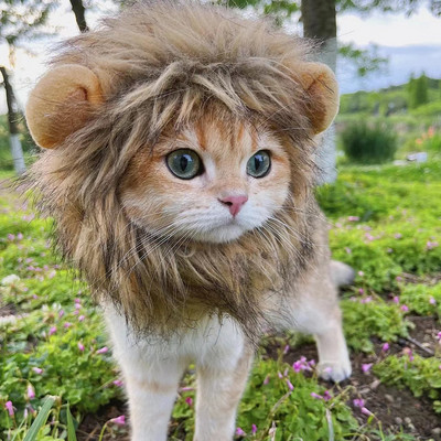 Χαριτωμένο καπέλο περούκα γάτας χαίτης λιονταριού για σκύλους και γάτας Μικρό σκυλί για κατοικίδια γάτα Διακόσμηση αξεσουάρ Lion περούκα Φανταχτερό καπέλο μαλλιών Προμήθειες για κατοικίδια