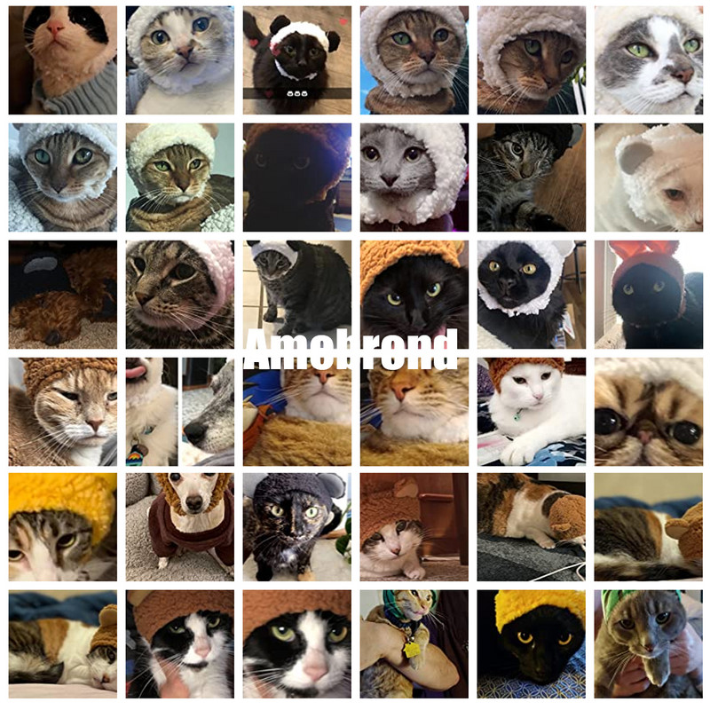 Kepurės katėms Kačių ausų dangtelis Kačių aksesuarai Minkšti ir patogūs pliušiniai reikmenys naminiams gyvūnėliams Priedai naminiams gyvūnėliams Karštas išpardavimas Instagram Dropship