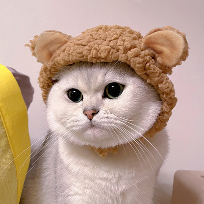 Új Pet Cat sapka kutya fejfedő Vicces medve fülek sapka meleg rövid plüss fülek kisállat kellékek buli karácsonyi cosplay kisállat kiegészítők