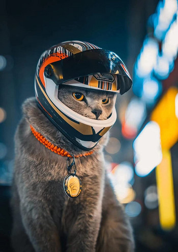 Κράνος μοτοσικλέτας για κατοικίδια, Κράνος μοτοσικλέτας Full Face Καπέλο κράνος μοτοσικλέτας για μοτοσικλέτα εξωτερικού χώρου για κράνος για κουτάβια γάτας Προμήθειες για κατοικίδια