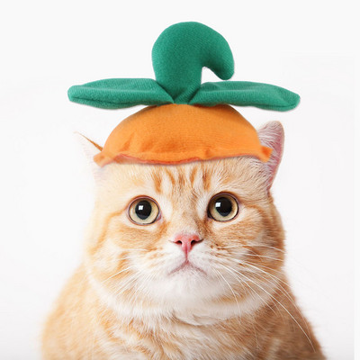 Ново забавно домашно куче, котка, шапка, костюм, топла заешка шапка, новогодишно парти, коледни косплей аксесоари, реквизит за снимки, шапки