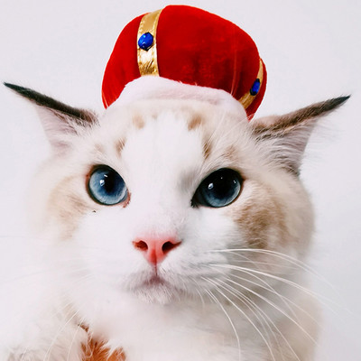 Ново забавно домашно куче, котка, шапка, костюм, топла заешка шапка, новогодишно парти, коледни косплей аксесоари, реквизит за снимки, шапки