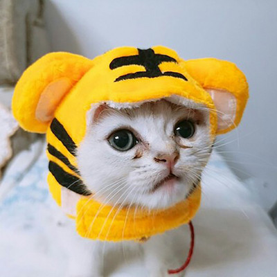 Ново забавно домашно куче, котка, шапка, костюм, топла заешка шапка, новогодишно парти, коледни косплей аксесоари, реквизит за снимки, шапки