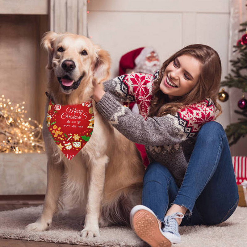 2022 Jõulud Kass Cape Lemmikloomariided Riided Kutsika Talveriided Peapael Koeramantel Lemmikloomarõivad Väikese koera kassi riided Jõulud