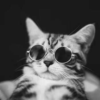 Сладки винтидж кръгли котешки слънчеви очила Куче Коте Аксесоари за котки за малки кучета Продукти за домашни любимци Отражение Очила Очила Снимки Реквизит
