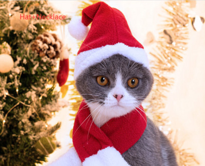 Smiješna mačja traka za kosu Štene Pas Mačka Pokrivala Odjeća Nova godina Pelerina za kućne ljubimce Pokrivala za glavu Plašt Božićna odjeća za kućne ljubimce