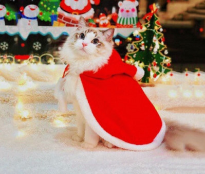 Smiješna mačja traka za kosu Štene Pas Mačka Pokrivala Odjeća Nova godina Pelerina za kućne ljubimce Pokrivala za glavu Plašt Božićna odjeća za kućne ljubimce