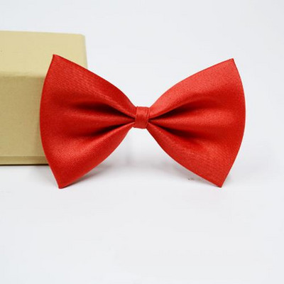 Kućni ljubimac, pas, mačka, ogrlica, podesivi remen za mačke, ogrlice, dodaci za pse, podesivi kućni ljubimci, psi, leptir mašna, leptir mašne, pas, potrepštine za kućne ljubimce