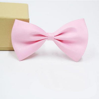 Kućni ljubimac, pas, mačka, ogrlica, podesivi remen za mačke, ogrlice, dodaci za pse, podesivi kućni ljubimci, psi, leptir mašna, leptir mašne, pas, potrepštine za kućne ljubimce