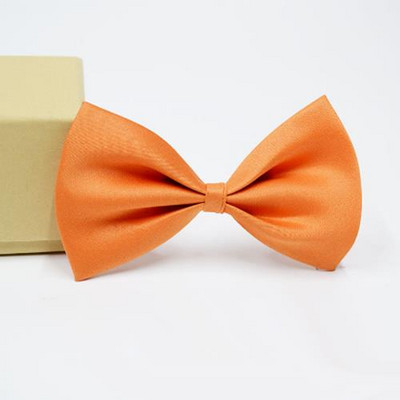 Kućni ljubimac, pas, mačka, ogrlica, podesivi remen za mačke, ogrlice, dodaci za pse, podesivi kućni ljubimci, psi, leptir mašna, leptir mašne, pas, potrepštine za kućne ljubimce