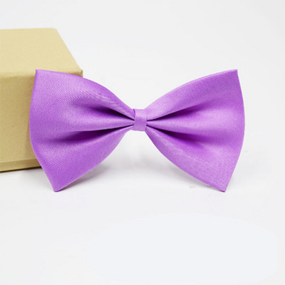 Kućni ljubimac, pas, mačka, ogrlica, podesivi remen za mačke, ogrlice, dodaci za pse, podesivi kućni ljubimci, psi, leptir mašna, leptir mašne, pas, potrepštine za kućne ljubimce