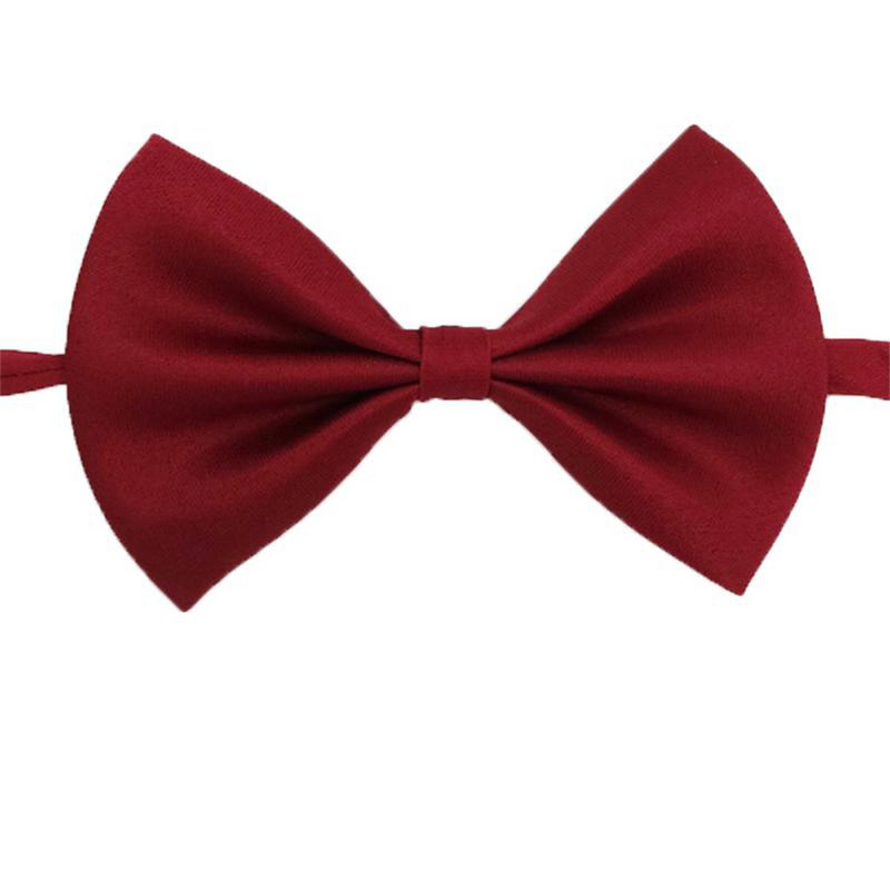 Kućni ljubimac, pas, mačka, ogrlica, podesivi remen za mačke, ogrlice, dodaci za pse, podesivi kućni ljubimci, psi, leptir mašna, leptir mašne, pas, potrepštine za kućne ljubimce