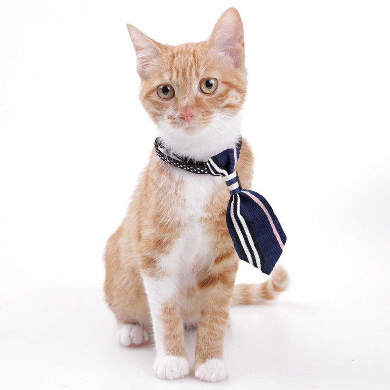 Hawaiian Party šešir za mačke Vintage podesivi remen Modni slamnati šešir za sunce Šeširi za kućne ljubimce Kostim za kućne ljubimce za mačke Pse Dodaci za odjeću za kućne ljubimce