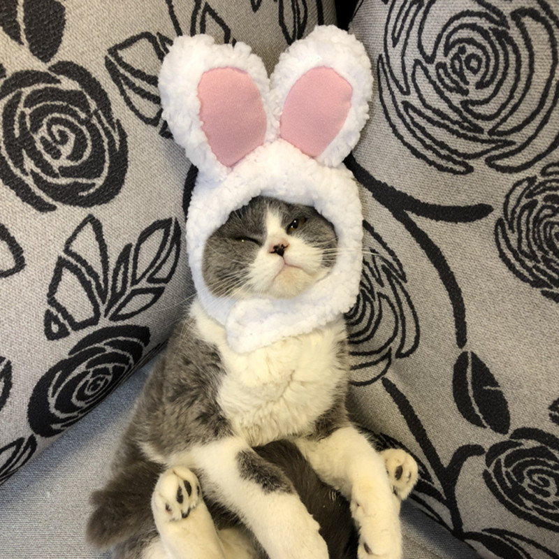 Novi smiješni kostim s kapom za kućnog ljubimca, psa, mačke, topli šešir od zeca, novogodišnja zabava, božićni cosplay dodaci za fotografije, rekviziti za glavu