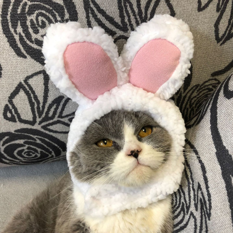 Novi smiješni kostim s kapom za kućnog ljubimca, psa, mačke, topli šešir od zeca, novogodišnja zabava, božićni cosplay dodaci za fotografije, rekviziti za glavu