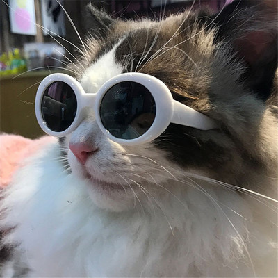 Babatartozékok Menő fényképezési kellékek Kisállat-kiegészítők Kis kutya macskaszemüvegek Kerek keretek Szemüvegek Kisállat szemüvegek Kutya napszemüvegek