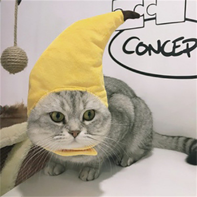 Коледен костюм Шапка за котки Дишаща котешка глава с форма на животно Регулируеми предмети за домашни любимци Памук Хелоуин Аксесоари за кучета