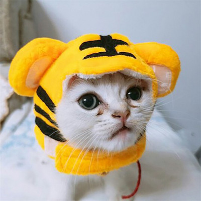 Коледен костюм Шапка за котки Дишаща котешка глава с форма на животно Регулируеми предмети за домашни любимци Памук Хелоуин Аксесоари за кучета