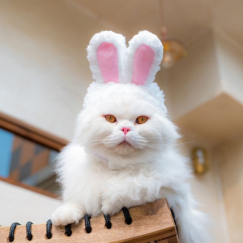 Slatka životinjska kapa za pse Topla baršunasta kapa Srednji dodaci za mačke Francuski buldog Kućni ljubimac Prozračno štene Božićna kapa