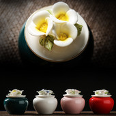 Mājdzīvnieku urnas, zārki, dzīvnieku kremācijas, kaķu urnas, suņu urnas, burkas ar pelniem pēc dzīvnieku līķu kremēšanas,