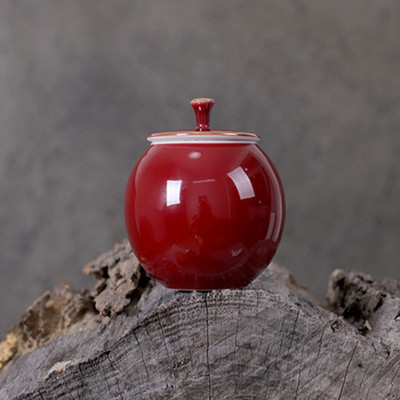 Dzīvnieka urna Dzīvnieka nāves kremācijas pelnu urna suņu urna kaķu urna mini urna dzīvnieka zārks Mākslas darbi dzīvnieka piemiņai