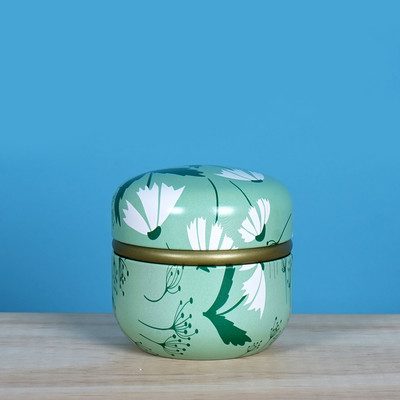 Metāla urna mājdzīvnieku urna kaķu urna putnu urna suņu urna skārda metāla dubultā noslēgta tvertne