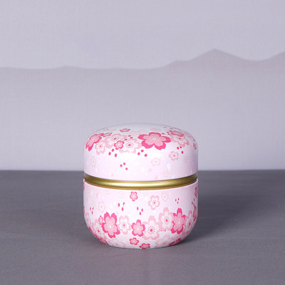 Metāla urna mājdzīvnieku urna kaķu urna putnu urna suņu urna skārda metāla dubultā noslēgta tvertne