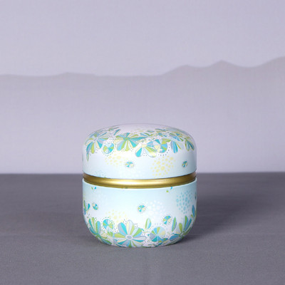 Metāla urna mājdzīvnieku urna kaķu urna putnu urna suņu urna skārda metāla dubultā noslēgta tvertne