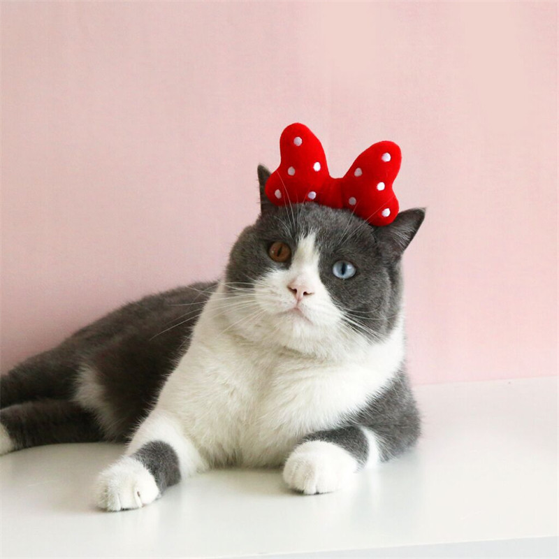 Jauka tauriņa matu stīpa kaķiem Princese Kaķu ballīte Galvas apģērbs mājdzīvniekiem Dāvanas maziem un vidējiem suņiem Aksesuāri Elastīgie kaķi Mājdzīvnieku izstrādājumi