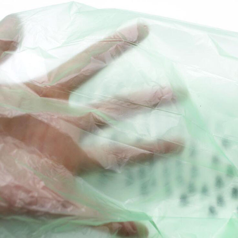 Biorazgradiva vrećica za pseći izmet Zero Waste Dog Pooper Bags Paw Doggy Litter Vrećica za izmet Proizvodi za kućne ljubimce za pse