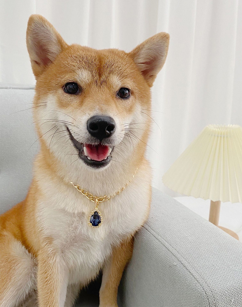 Eleganta mājdzīvnieku kaklarota kaķiem Teardrop Crystal Girl Resin Suņiem Apkakles Regulējama Ķēde Dzimšanas dienas ballītes Kaķēnu Kakla aksesuāri