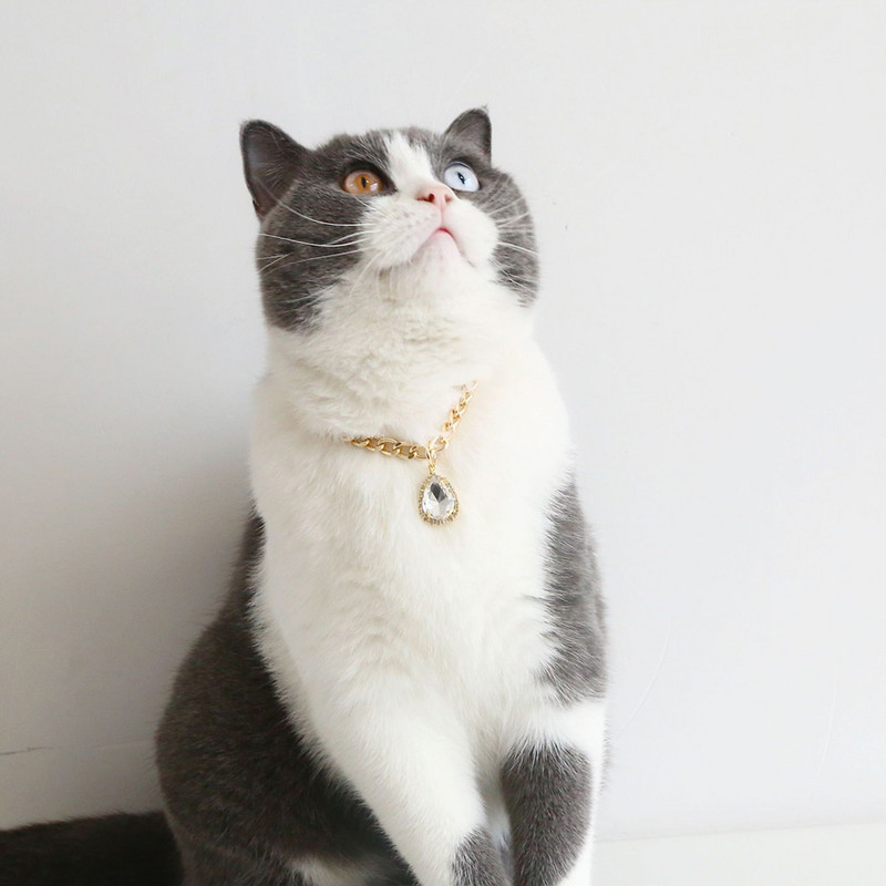 Eleganta mājdzīvnieku kaklarota kaķiem Teardrop Crystal Girl Resin Suņiem Apkakles Regulējama Ķēde Dzimšanas dienas ballītes Kaķēnu Kakla aksesuāri