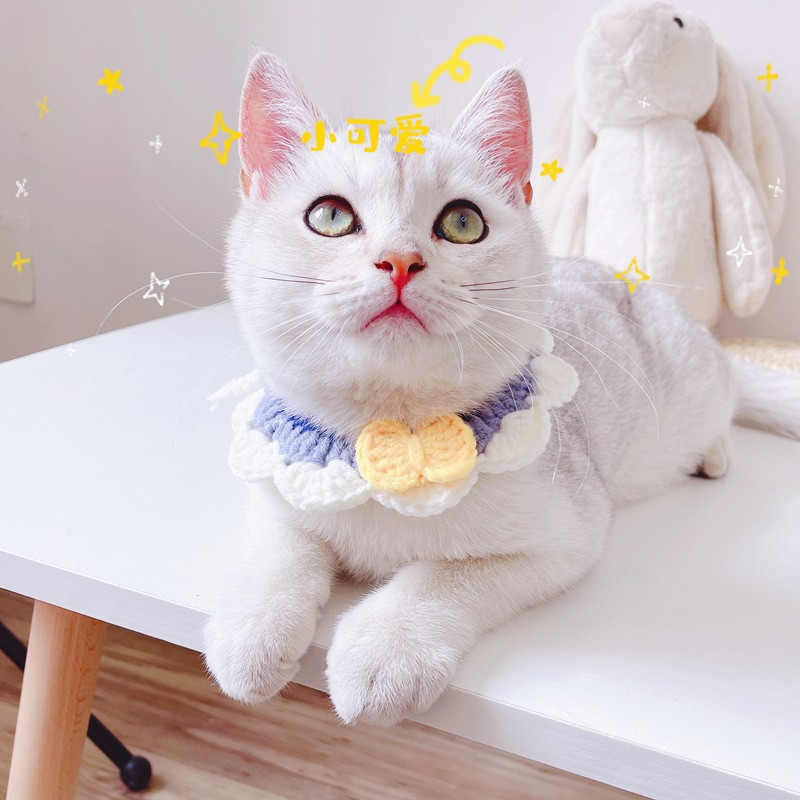 Ar rokām darināta adāma mājdzīvnieka kakla siksna suņiem silta ziemas luksusa dizaina meitene kaķa kaklarota regulējama šņorējama kaķēna mājdzīvnieka kakla siksna