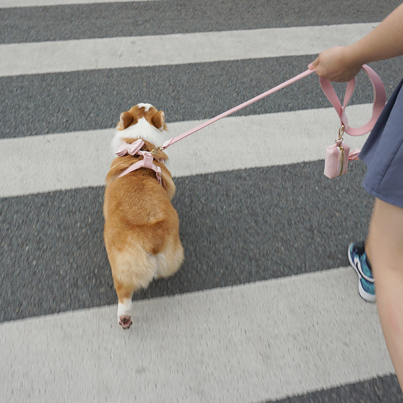 Mīksts samts mājdzīvnieku atkritumu maiss Suņu izkārnījumu maisu dozators Izkārnījumu maisiņi Suņu piederumi Izbraukuma suņiem Aksesuāri Atkritumu maisi Bolsas Caca Perro