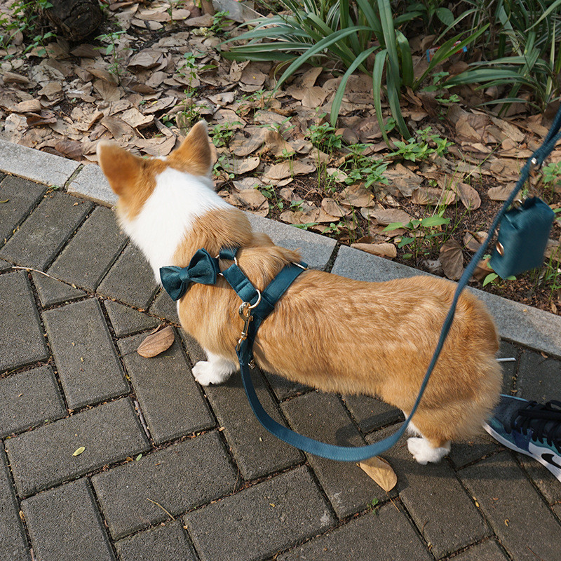 Mīksts samts mājdzīvnieku atkritumu maiss Suņu izkārnījumu maisu dozators Izkārnījumu maisiņi Suņu piederumi Izbraukuma suņiem Aksesuāri Atkritumu maisi Bolsas Caca Perro