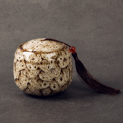 Urna za pepeo kućnih ljubimaca Ručno oslikana keramika Kremiranje urne Držač za pepeo ptica ptica Pokop kod kuće