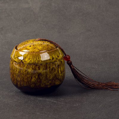 Urna za pepeo kućnih ljubimaca Ručno oslikana keramika Kremiranje urne Držač za pepeo ptica ptica Pokop kod kuće