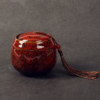 Urna za pepeo kućnih ljubimaca Ručno oslikana keramika Kremiranje urne Držač za pepeo ptica ptica Pokop kod kuće